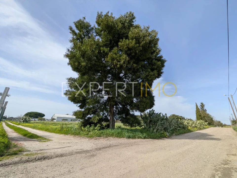 Terreno para Venda em Pegões Foto 5