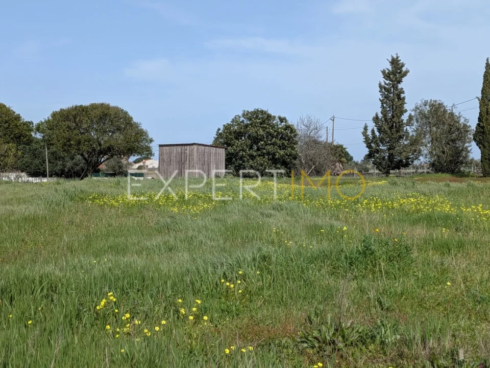 Terreno para Venda em Pegões Foto 6