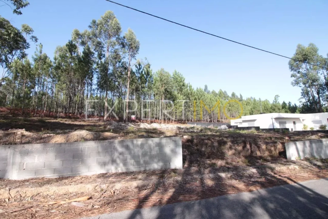 Terreno para Venda em Matas e Cercal Foto 2