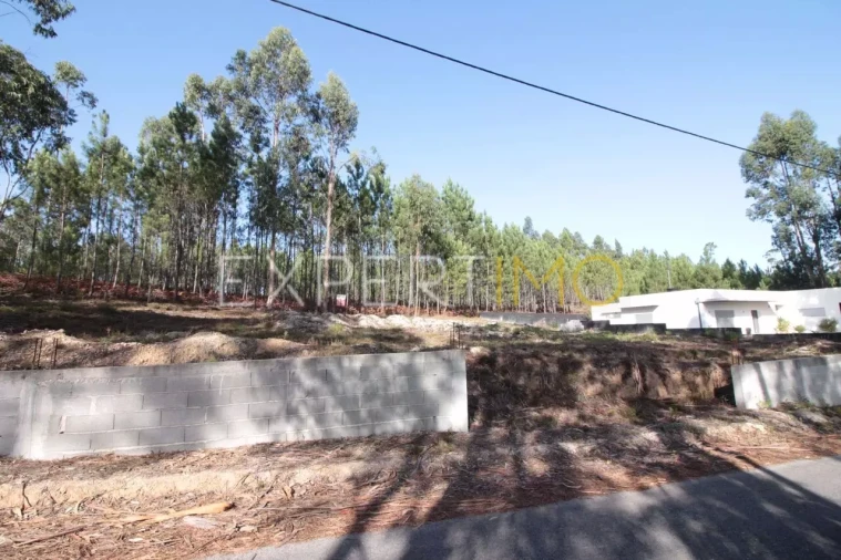 Terreno para Venda em Matas e Cercal Foto 2