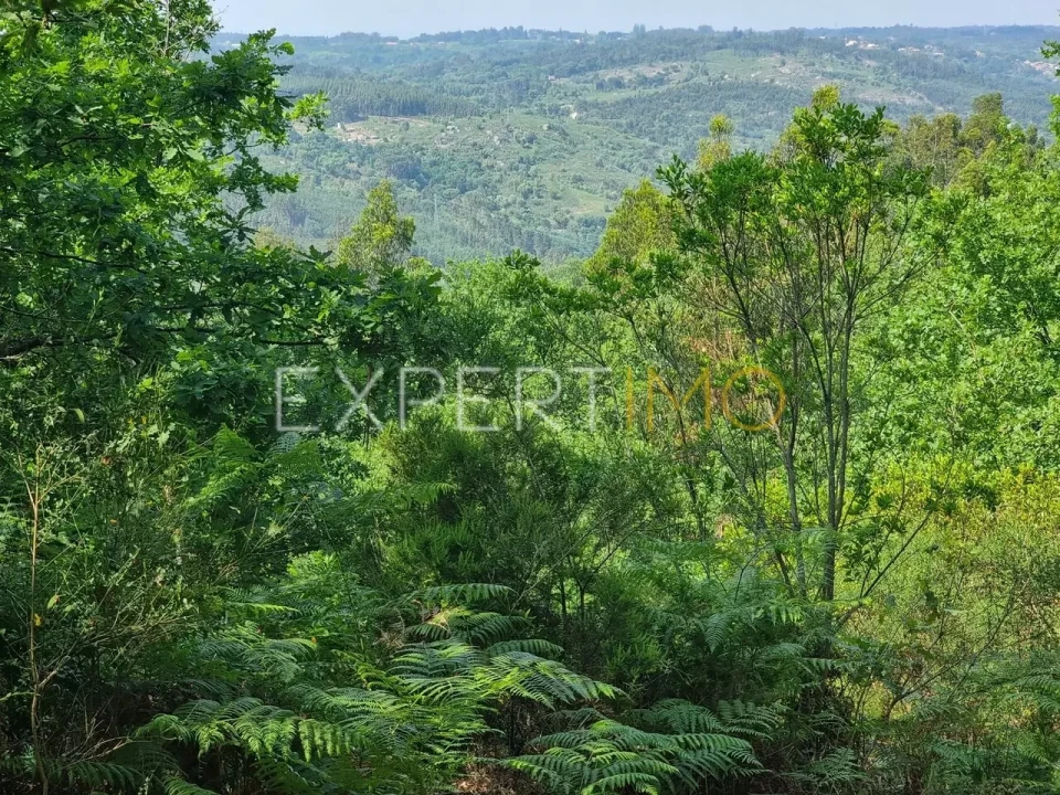 Quinta T4 para Venda em Povoa de Midões Foto 12