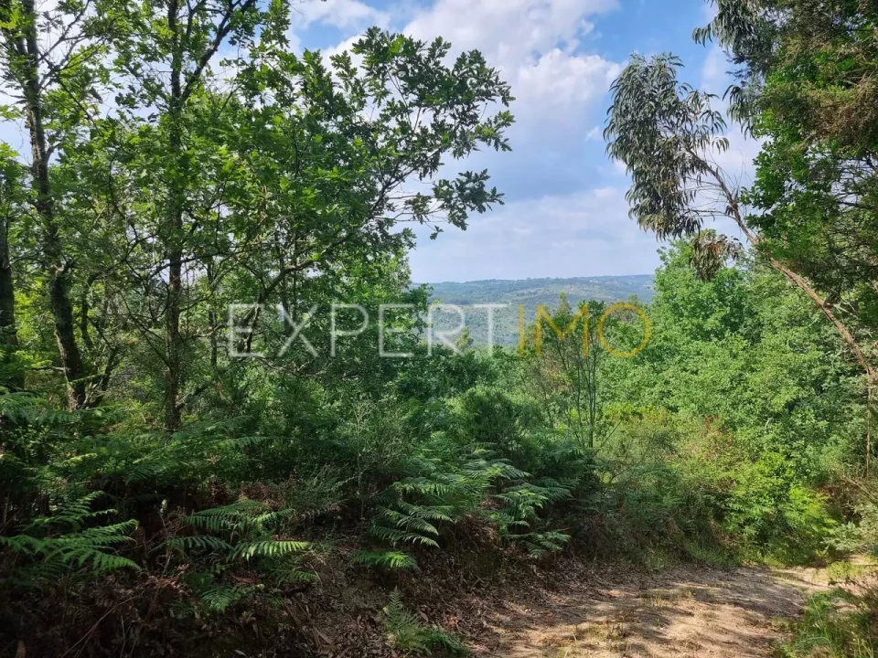 Quinta T4 para Venda em Povoa de Midões Foto 13