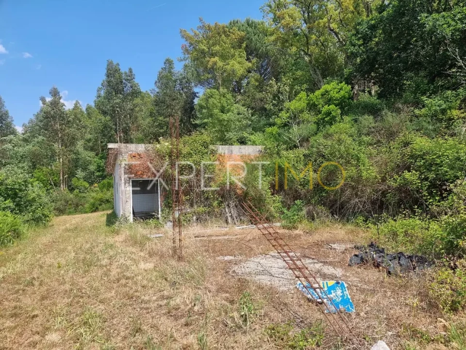 Quinta T4 para Venda em Povoa de Midões Foto 2