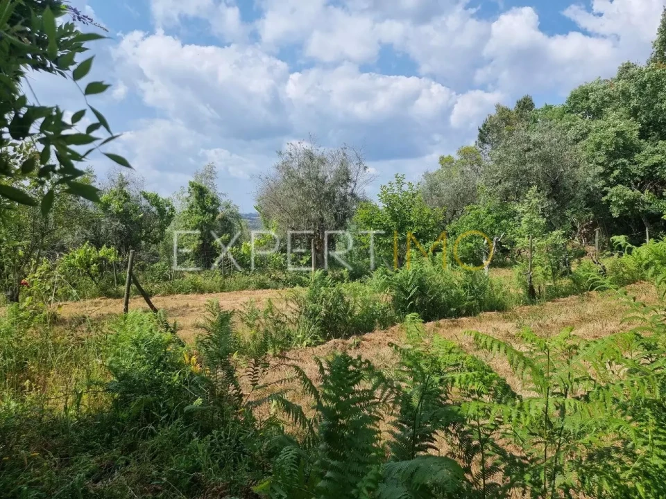 Quinta T4 para Venda em Povoa de Midões Foto 5