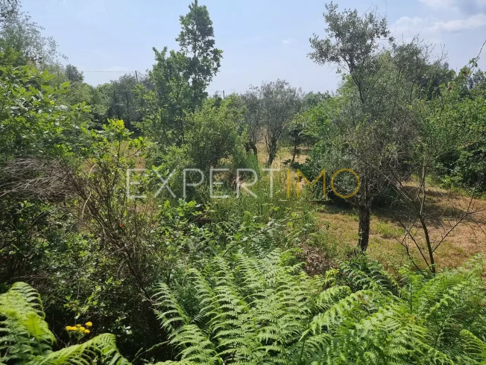 Quinta T4 para Venda em Povoa de Midões Foto 8