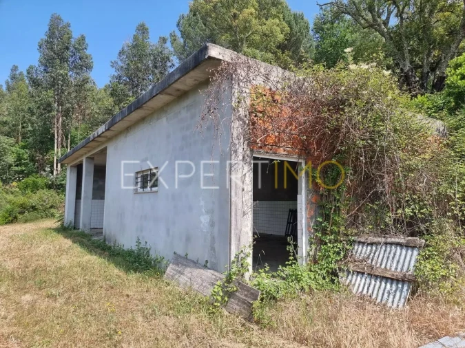 Quinta T4 para Venda em Povoa de Midões Foto 10