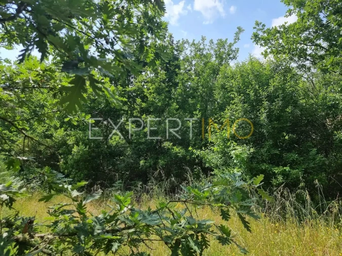 Quinta T4 para Venda em Povoa de Midões Foto 11