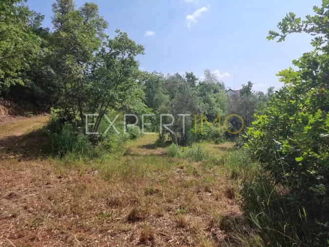 Quinta T4 para Venda em Povoa de Midões Foto 17