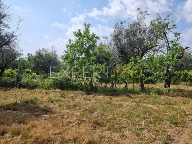 Quinta T4 para Venda em Povoa de Midões Foto 3