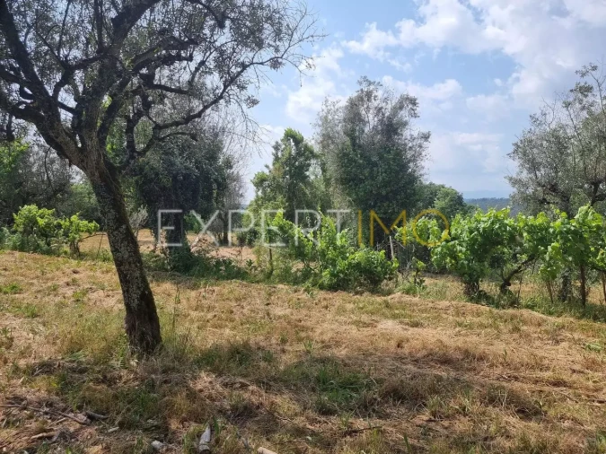 Quinta T4 para Venda em Povoa de Midões Foto 4