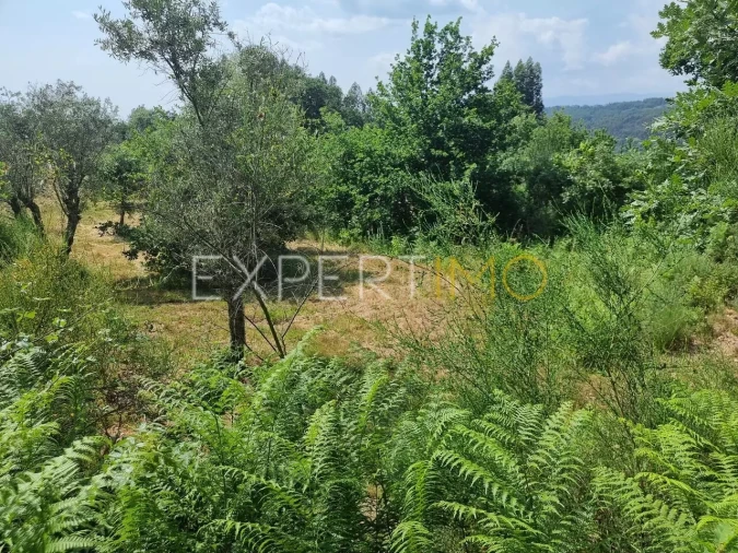 Quinta T4 para Venda em Povoa de Midões Foto 7