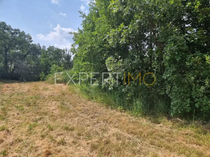 Quinta T4 para Venda em Povoa de Midões Foto 9