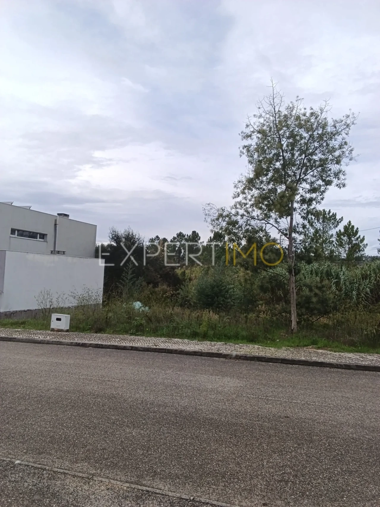 Terreno para Venda em Ançã Foto 2