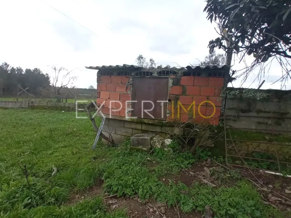 Moradia T5 para Venda em Matança Foto 15