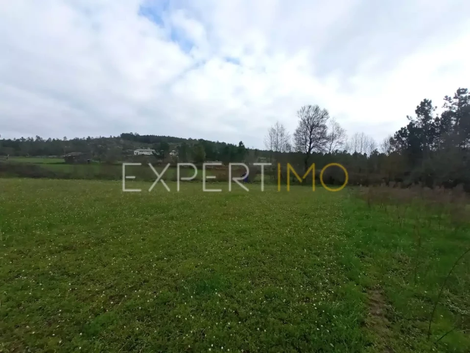 Moradia T5 para Venda em Matança Foto 16