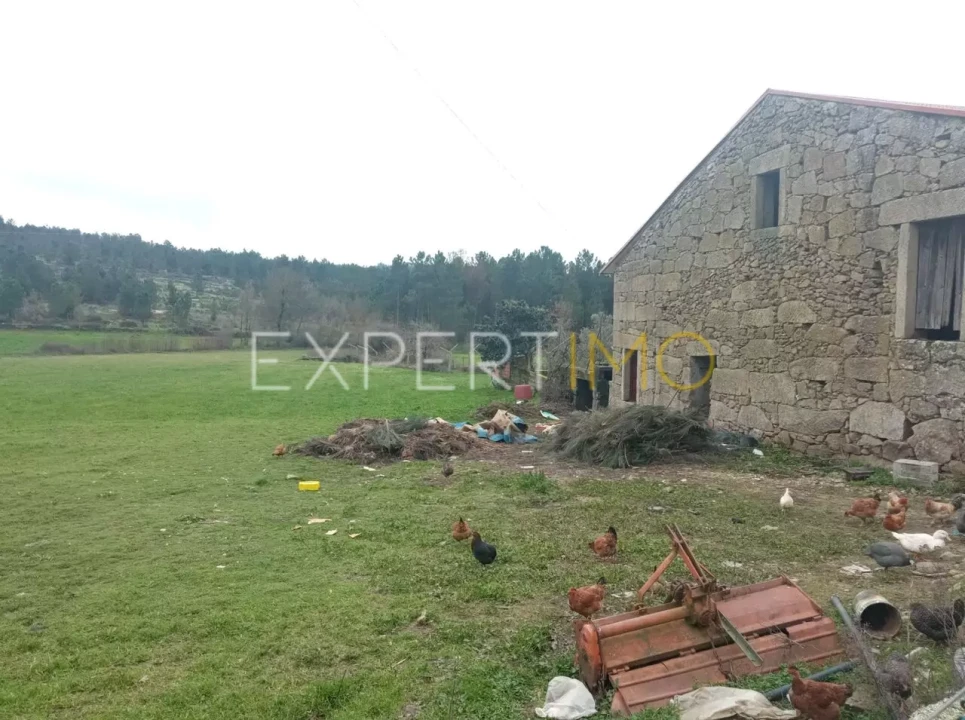 Moradia T5 para Venda em Matança Foto 4