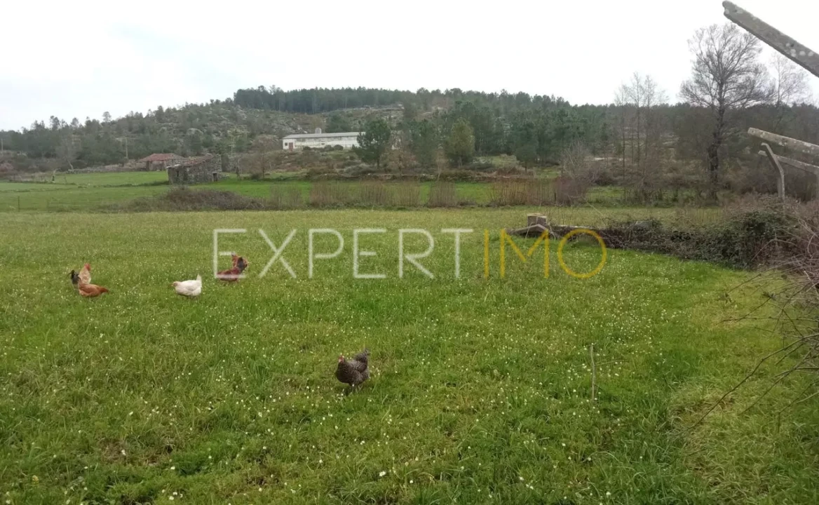 Moradia T5 para Venda em Matança Foto 8