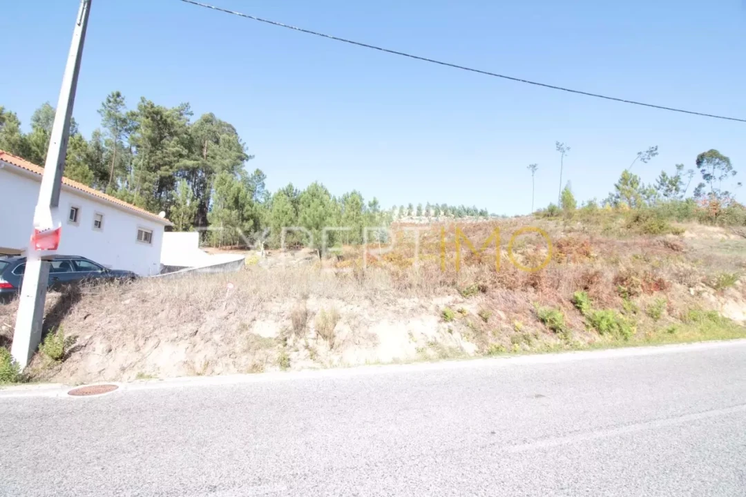 Terreno para Venda em Gondemaria e Olival Foto 3