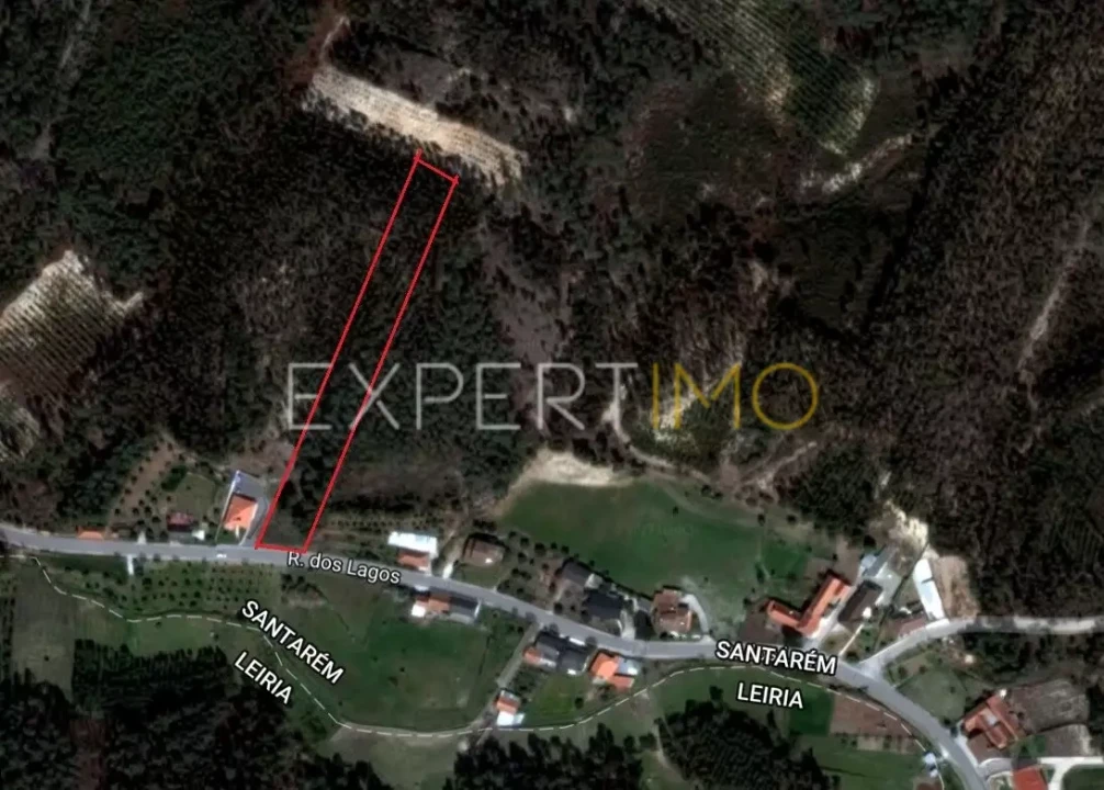 Terreno para Venda em Gondemaria e Olival Foto 6