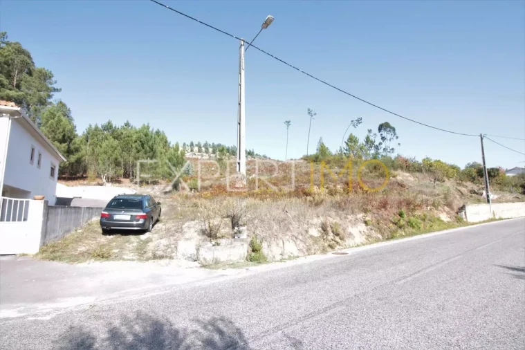 Terreno para Venda em Gondemaria e Olival Foto 2