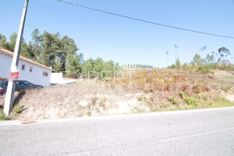Terreno para Venda em Gondemaria e Olival Foto 3