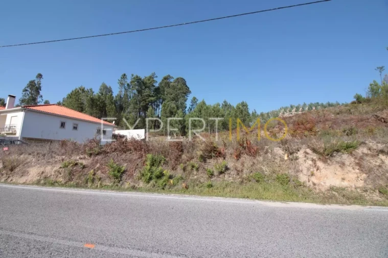 Terreno para Venda em Gondemaria e Olival Foto 4