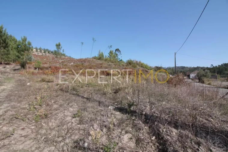 Terreno para Venda em Gondemaria e Olival Foto 5
