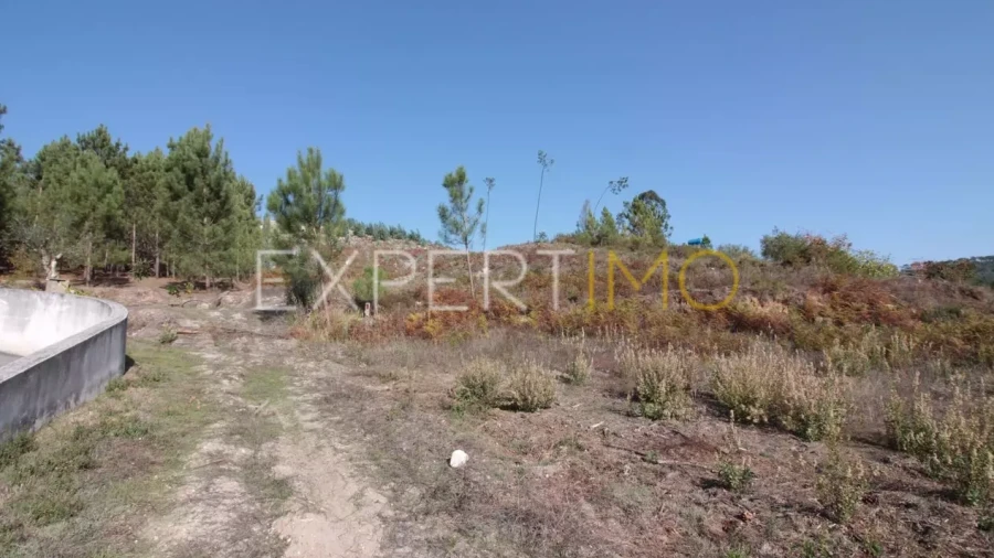 Terreno para Venda em Gondemaria e Olival