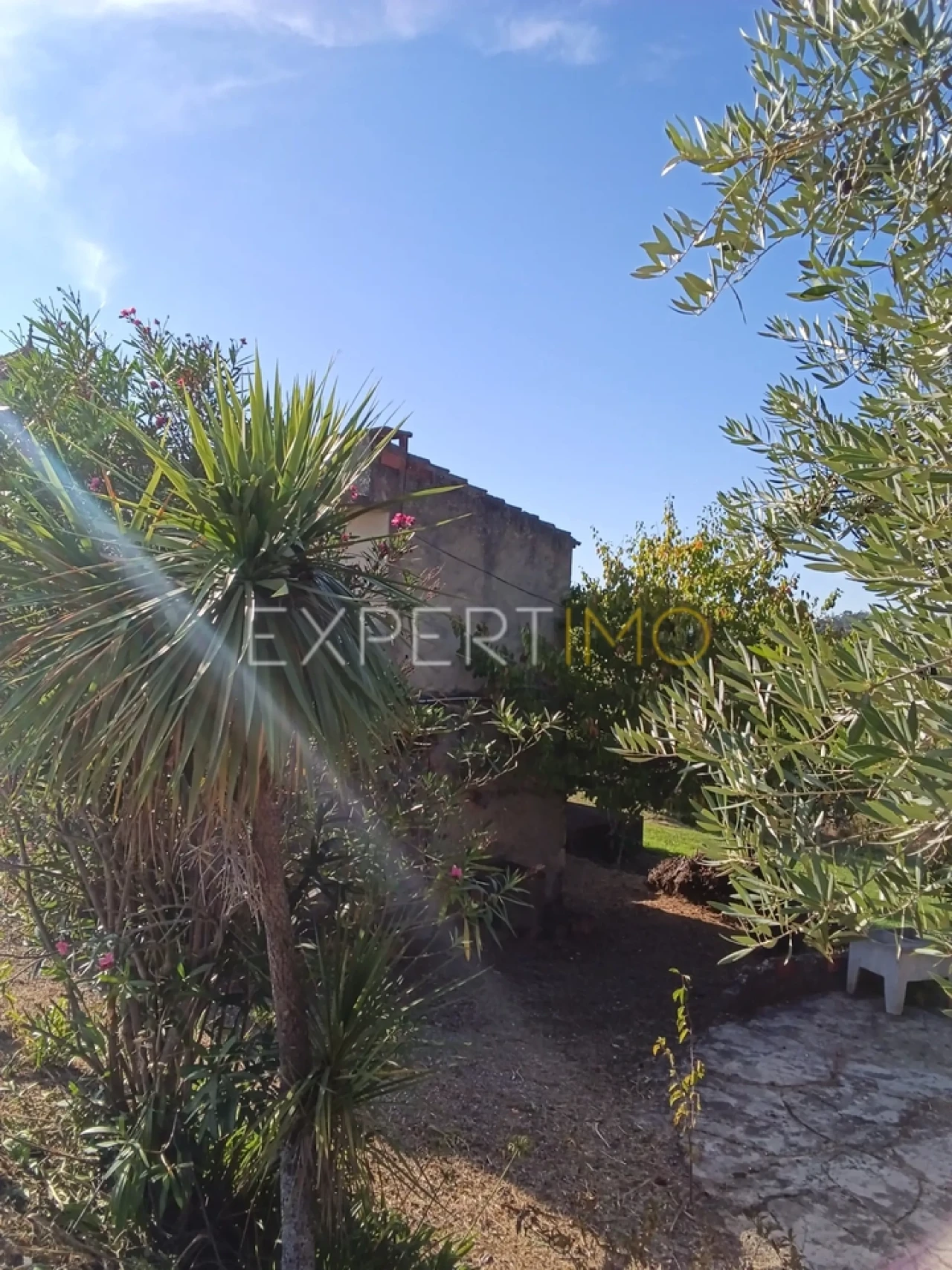 Moradia T3 para Venda em Pombal Foto 10