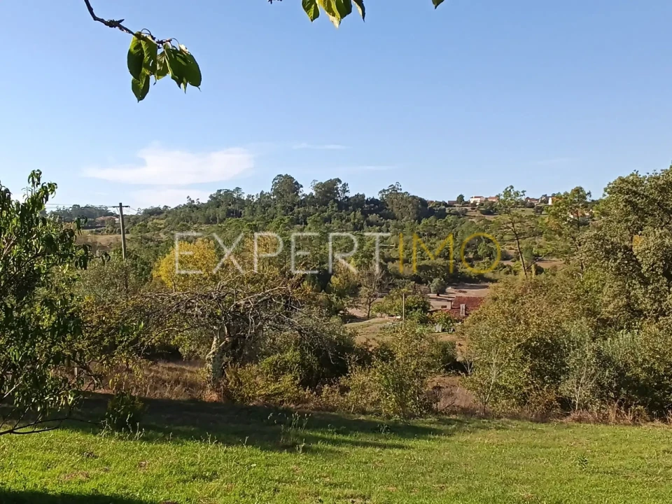 Moradia T3 para Venda em Pombal Foto 11