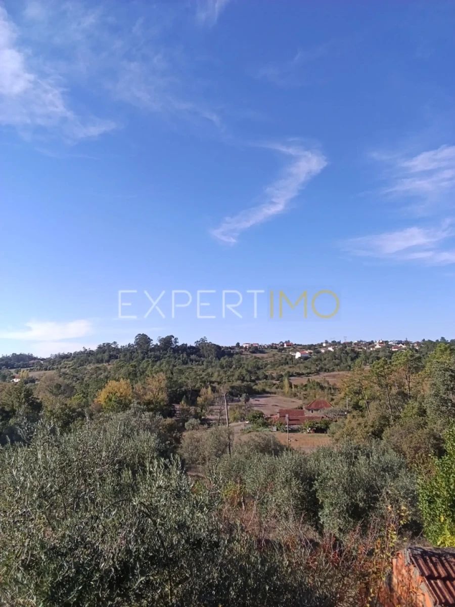 Moradia T3 para Venda em Pombal Foto 4