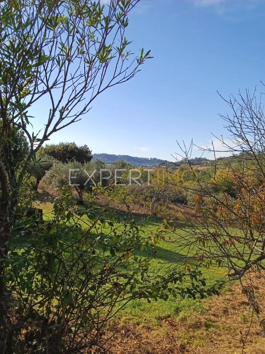 Moradia T3 para Venda em Pombal Foto 6