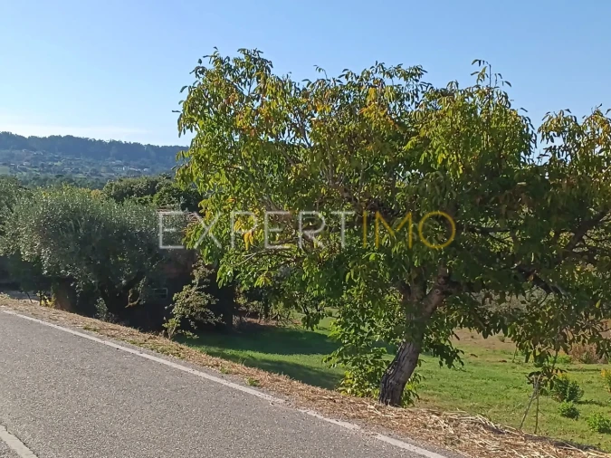 Moradia T3 para Venda em Pombal Foto 8