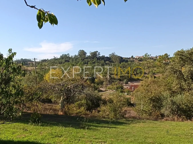 Moradia T3 para Venda em Pombal Foto 12