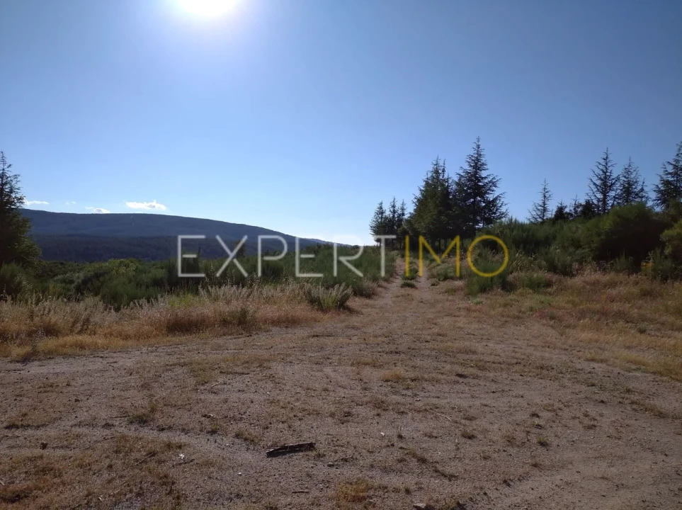 Quinta T1 para Venda em Famalicão Foto 11