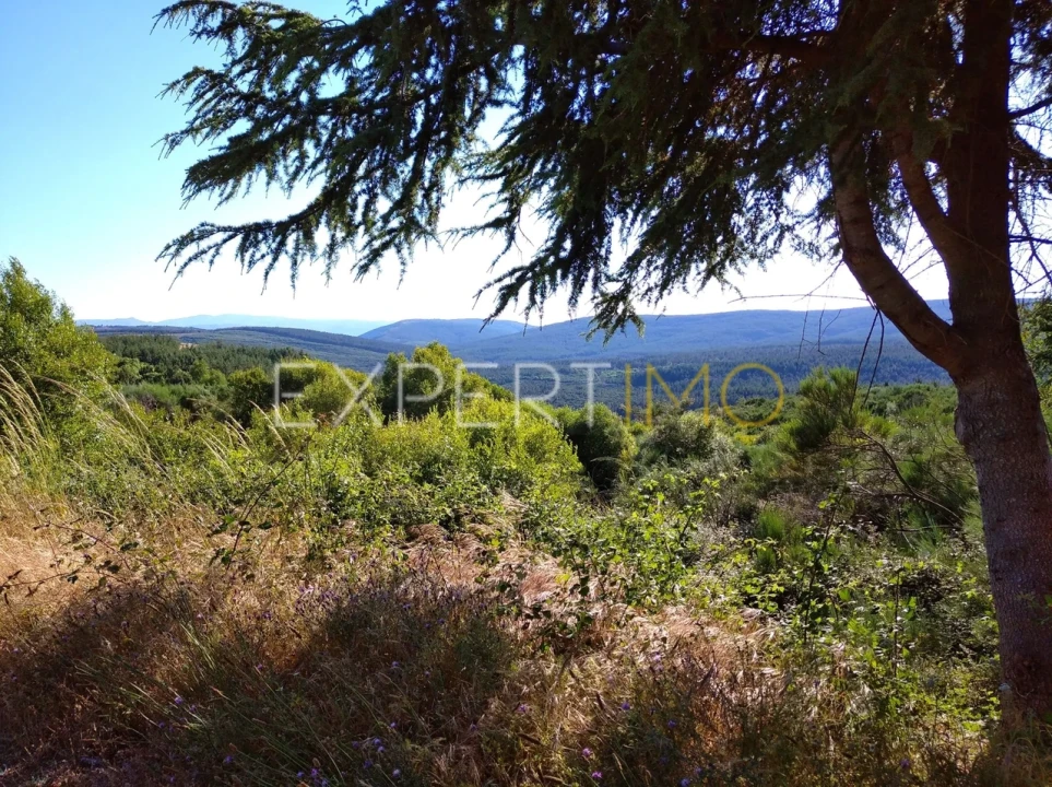 Quinta T1 para Venda em Famalicão Foto 14