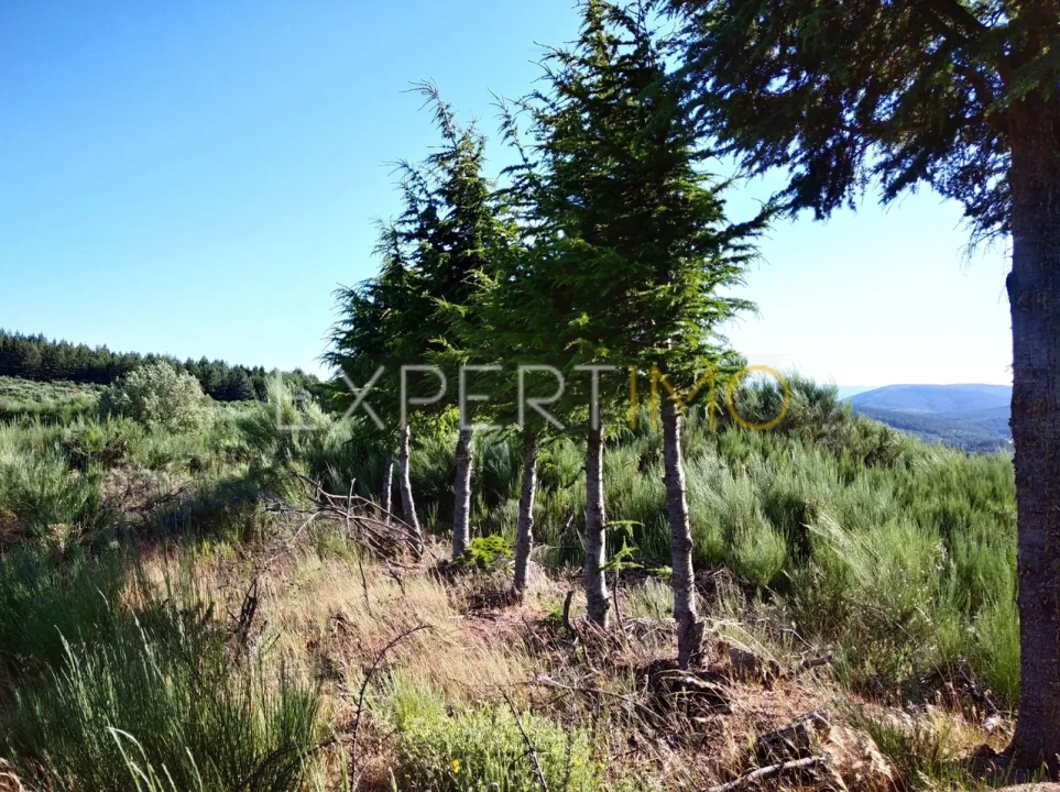 Quinta T1 para Venda em Famalicão Foto 15