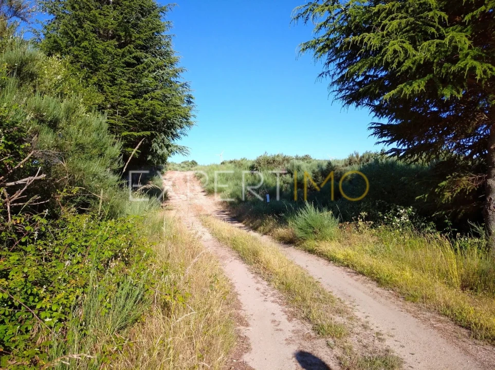 Quinta T1 para Venda em Famalicão Foto 17