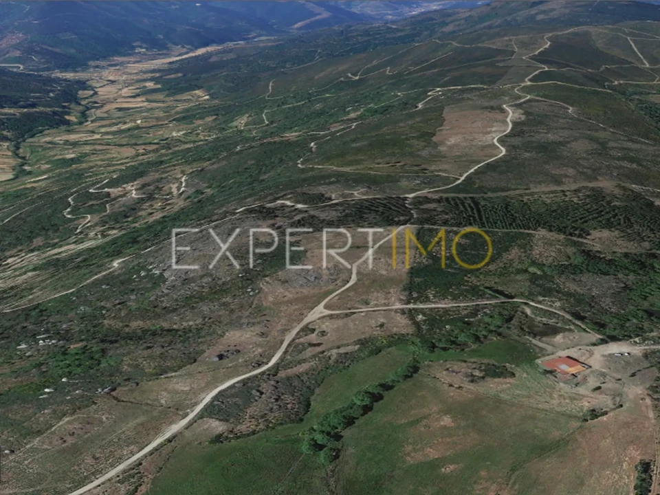 Quinta T1 para Venda em Famalicão Foto 18