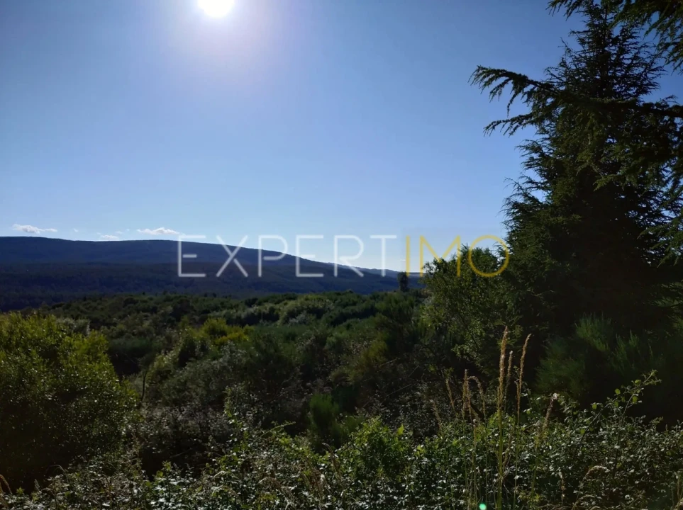 Quinta T1 para Venda em Famalicão Foto 2