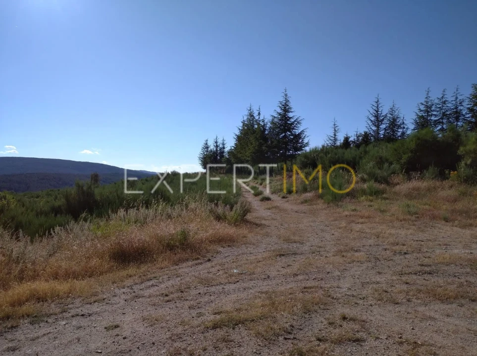 Quinta T1 para Venda em Famalicão Foto 3