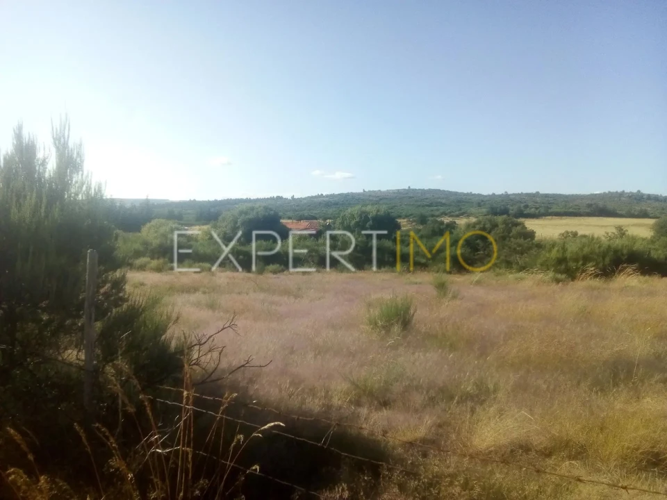 Quinta T1 para Venda em Famalicão Foto 4