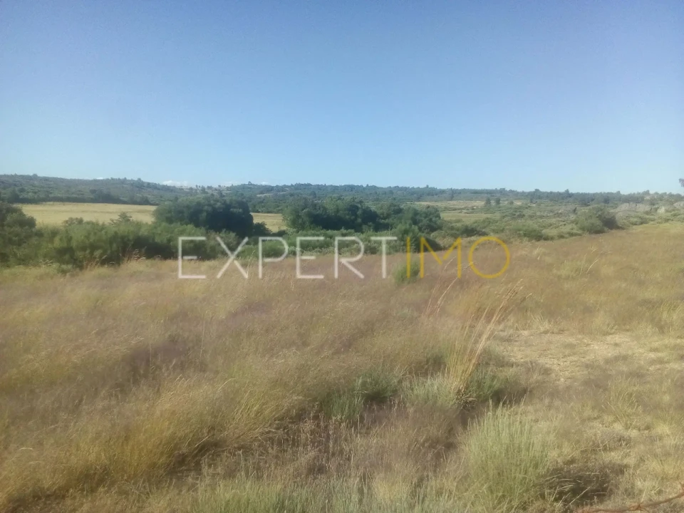 Quinta T1 para Venda em Famalicão Foto 6