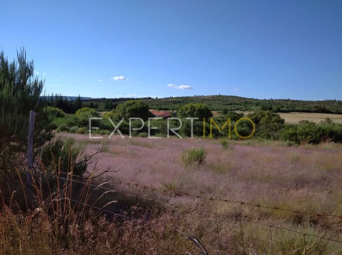 Quinta T1 para Venda em Famalicão Foto 10