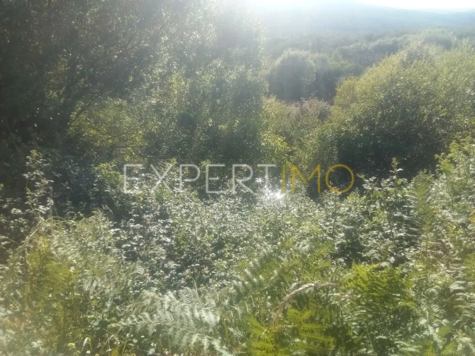 Quinta T1 para Venda em Famalicão Foto 13