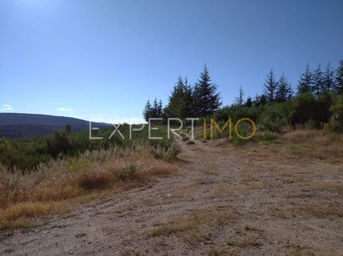 Quinta T1 para Venda em Famalicão Foto 3