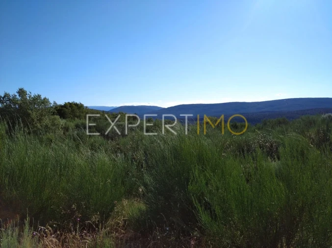 Quinta T1 para Venda em Famalicão Foto 5