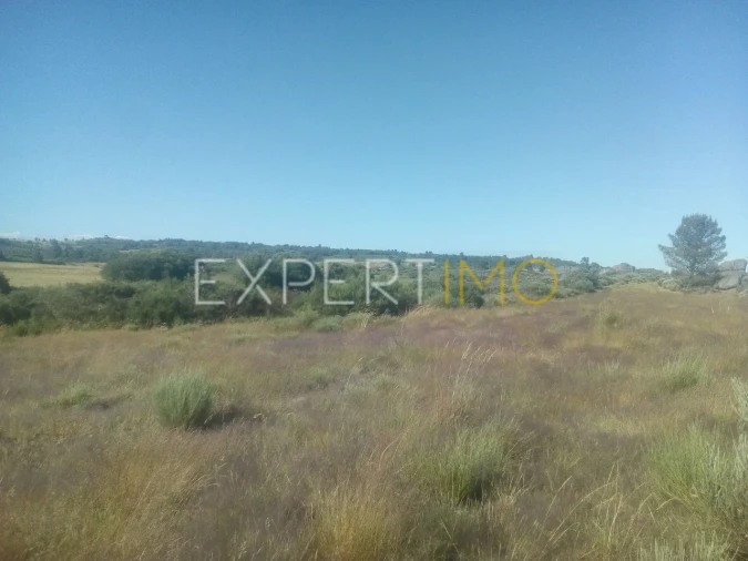 Quinta T1 para Venda em Famalicão Foto 7