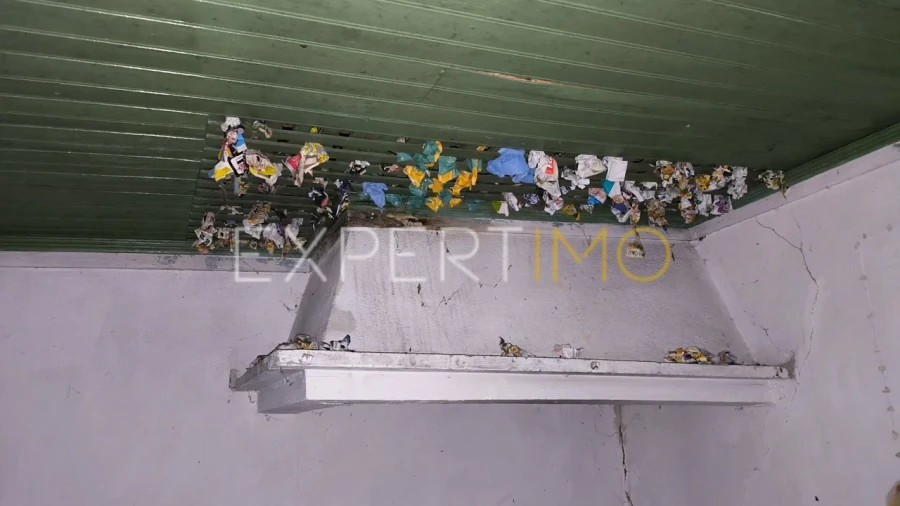 Moradia T3 para Venda em Pelariga Foto 8