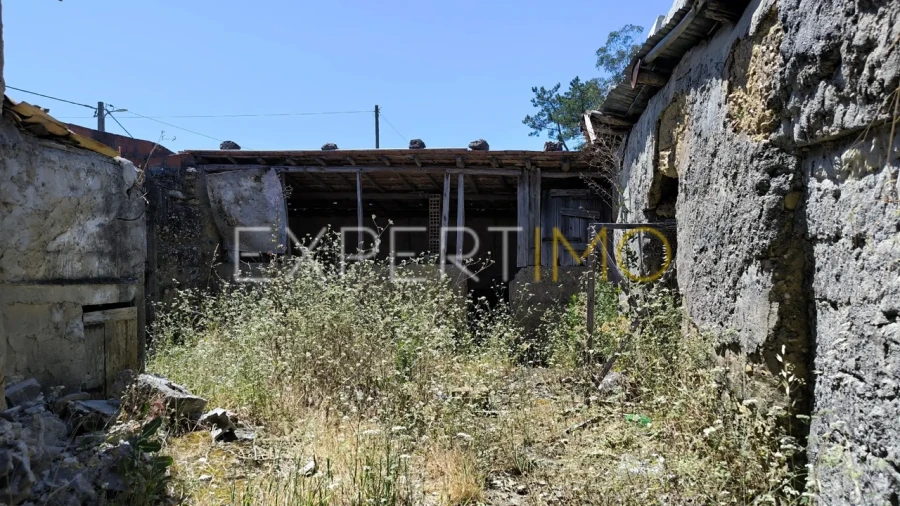 Moradia T3 para Venda em Pelariga Foto 17